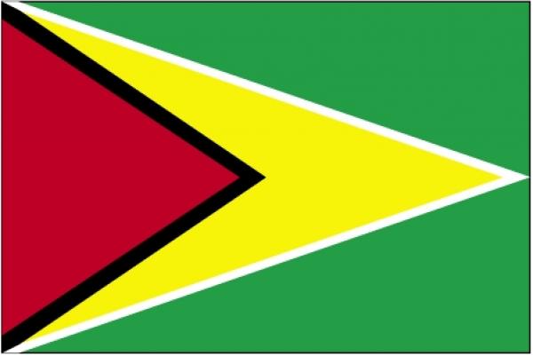 Drapeau Guyana