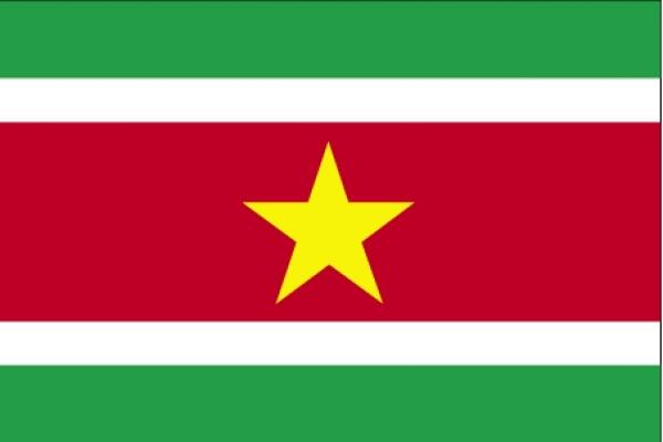 Drapeau Suriname