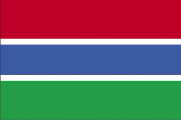Drapeau Gambie
