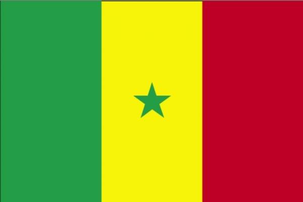 Drapeau Senegal