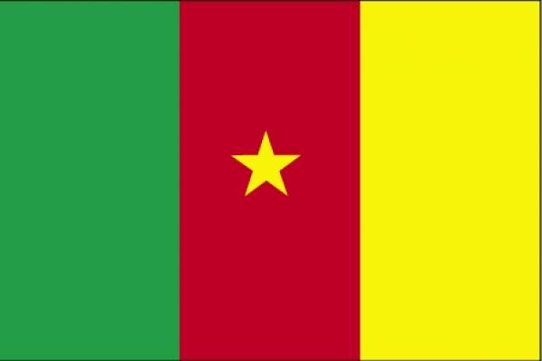 Drapeau Cameroun