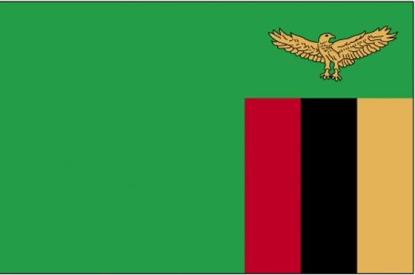 Drapeau Zambie