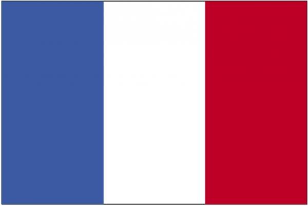 Drapeau Guyane Francaise