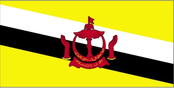 Drapeau Brunei Darussalam