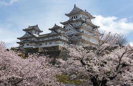 Tokyo en Japon