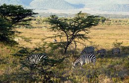 Nairobi en Kenya